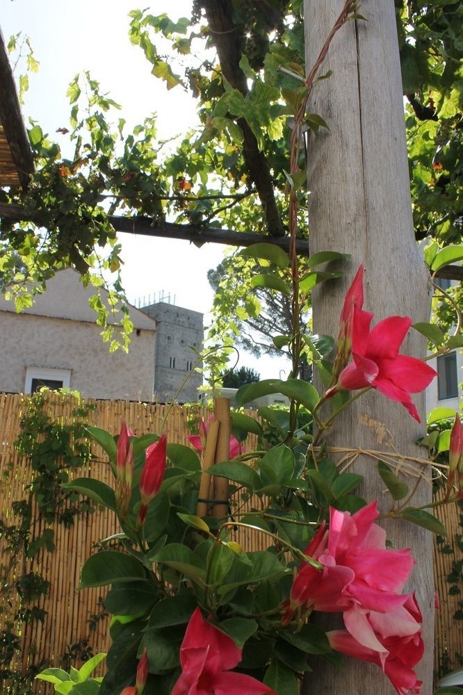 Gelsomino Rooms Ravello Zewnętrze zdjęcie